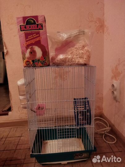 Клетка для грызунов, хомяк