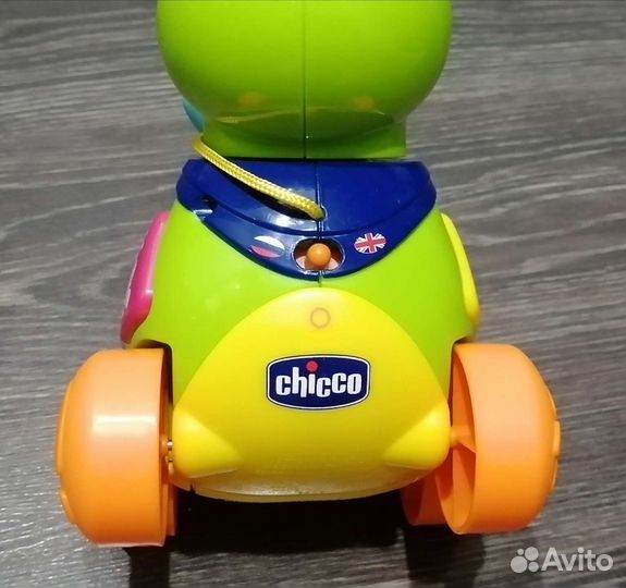 Дракоша chico