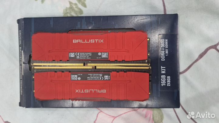Оперативная память crucial ballistix 3600 16GB