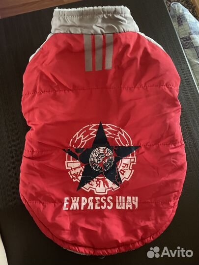 Одежда для собак