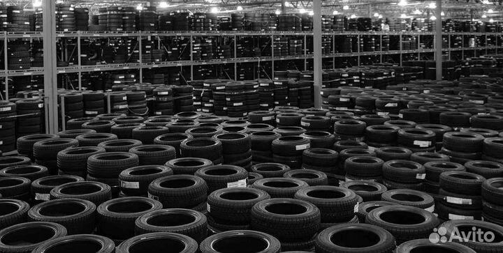 Pirelli Scorpion Winter 2 225/55 R19 103V