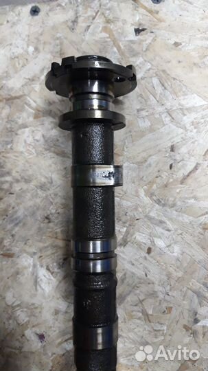 Выпускной распредвал honda k24z4