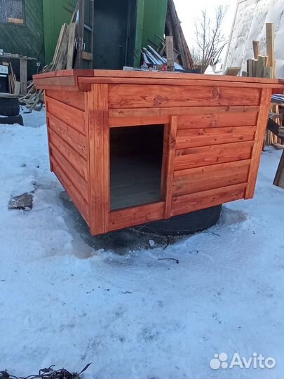 Собачья будка