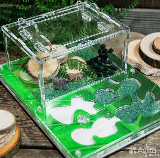 Муравьиная ферма в Перми