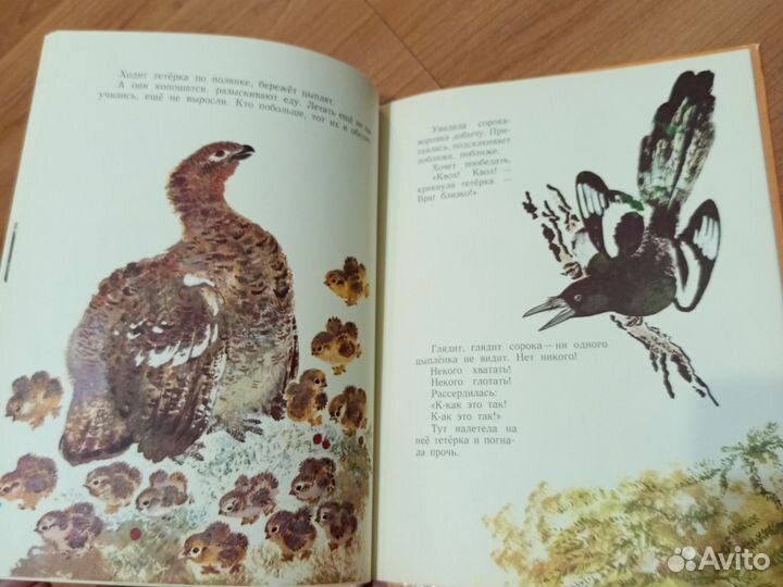Книга Е. Чарушин 