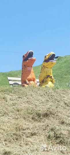 Аренда надувных костюмов