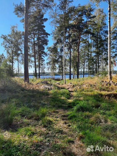 Аренда дома/ лодки