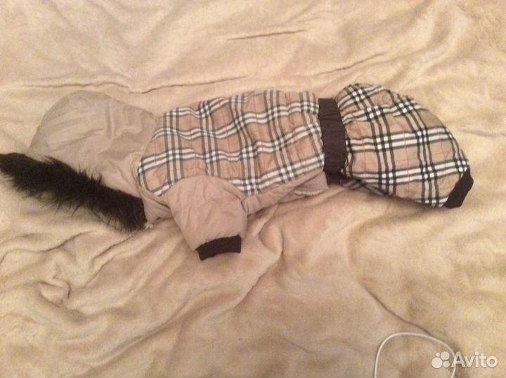 Комбинезон для маленькой собаки