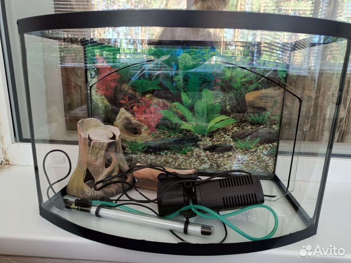 Аквариум