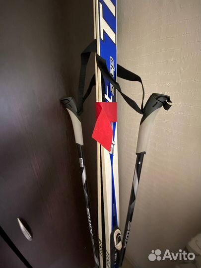 Лыжи беговые tisa