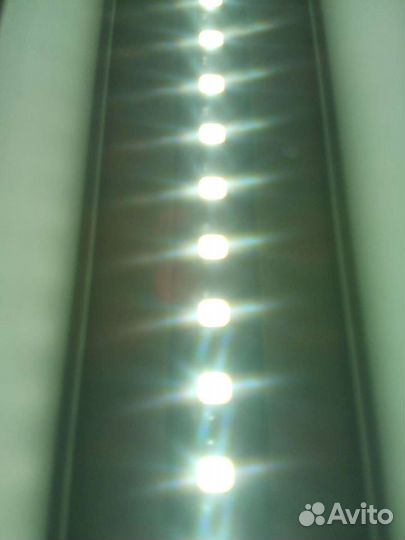 Фитолампа светодиодная