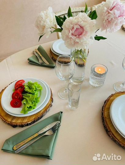 Торцевые спилы деревьев