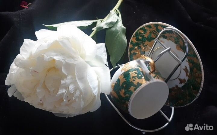 Кофейная пара (Япония)