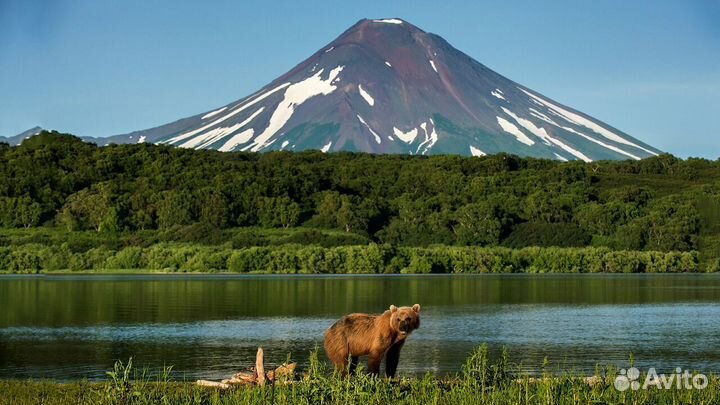Туры на любой бюджет по Камчатке