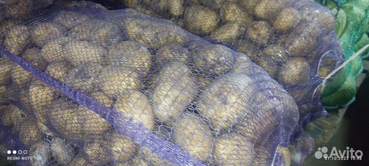 Продам овощи