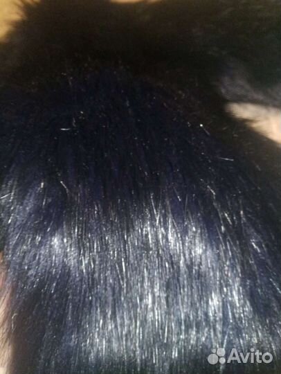 Болеро для девочки 146