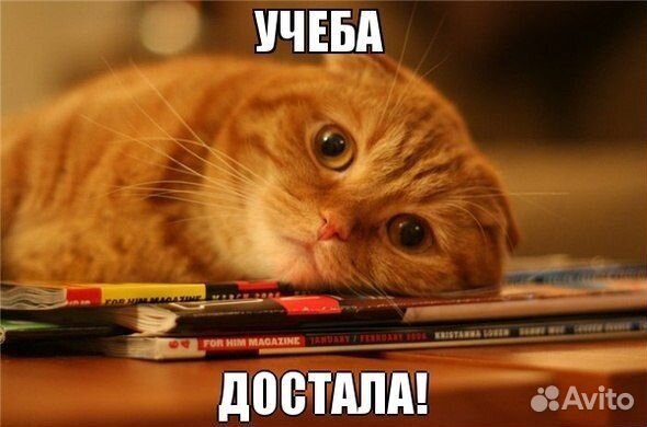 Репетитор по математике и русскому языку 1-6 класс