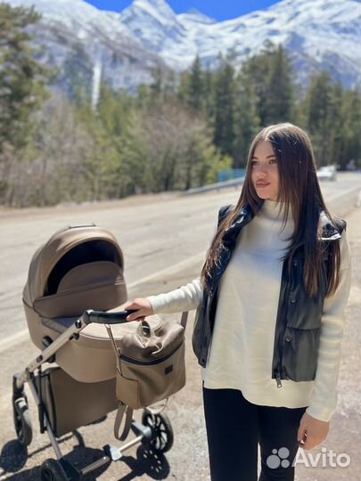 Коляска anex e type 2 в 1