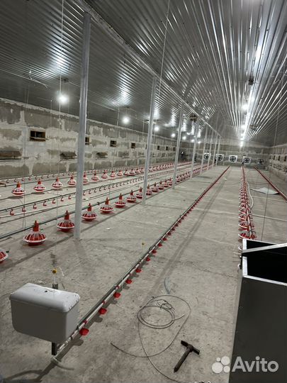 Птичник под ключ