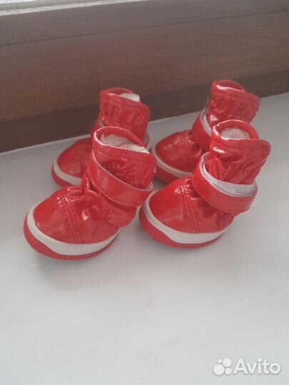 Ботинки для собаки