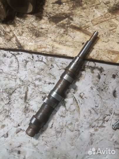 Распредвал днепр мт10-36