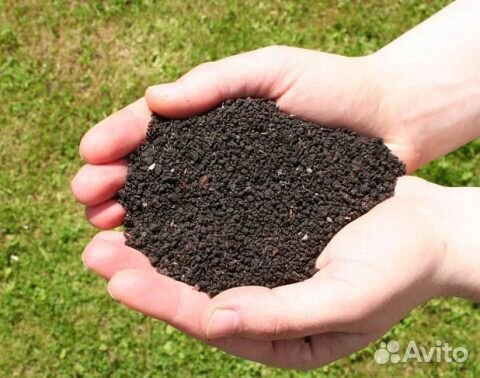 Биогумус (вермикомпост)