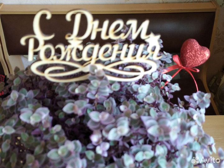 Коллизия розовая пантера