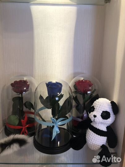 Вечная роза в колбе