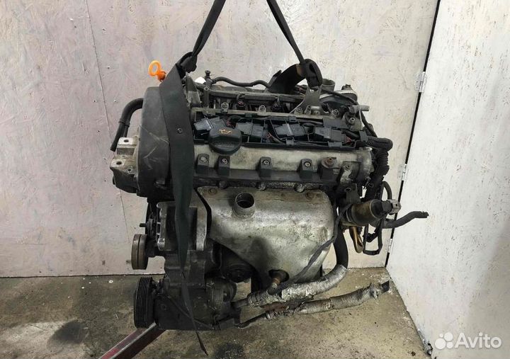 Двигатель Volkswagen Golf 4 1.4 16V BCA