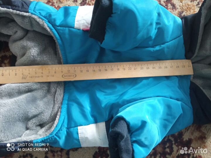 Одежда для маленьких пород собак