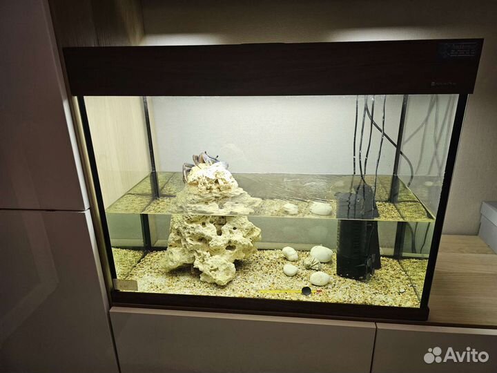 Действующий аквариум с крабом и рыбами