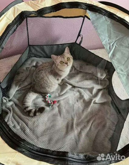 Вольер для собак и кошек