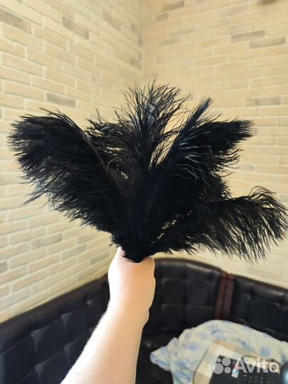 Перья для декорации черного цвета