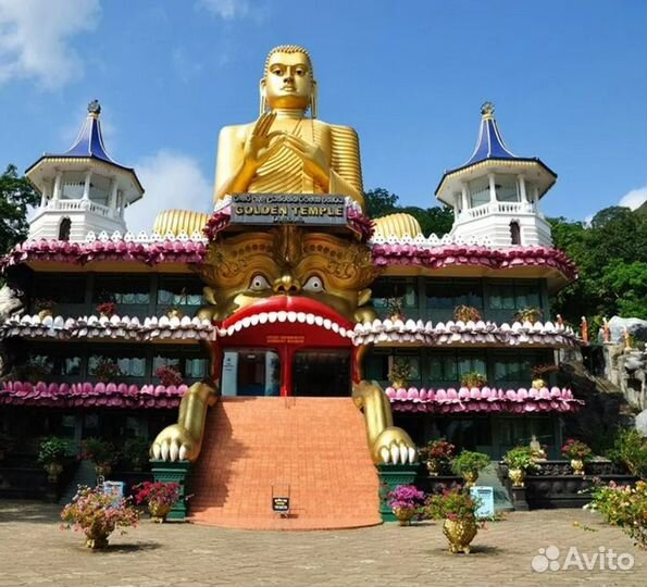 Тур поездка на Шри-Ланку 6 нч завтрак