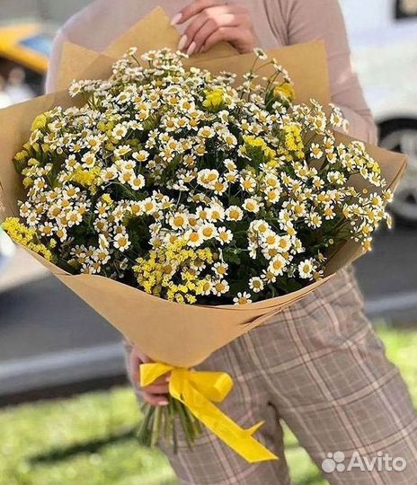 Ромашки Пионы Розы Доставка