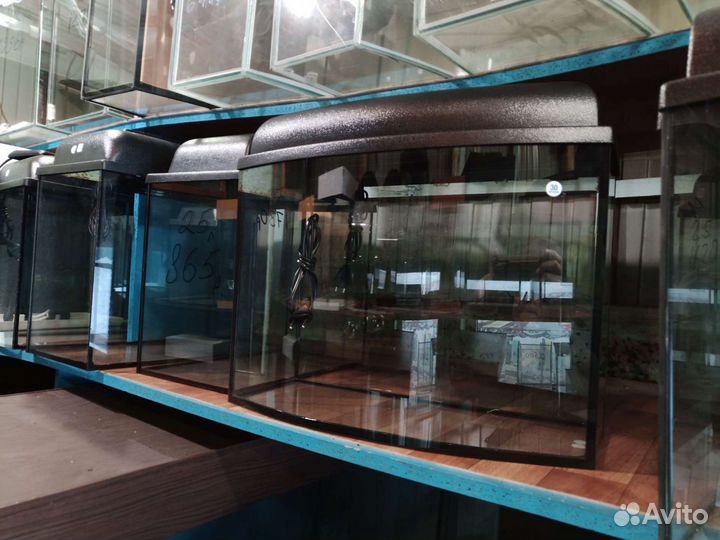 На заказ аквариумы