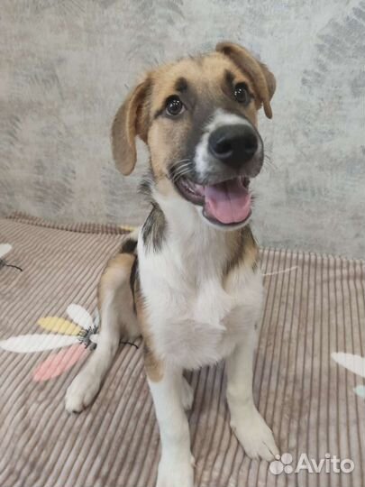 Хочу к мамочке