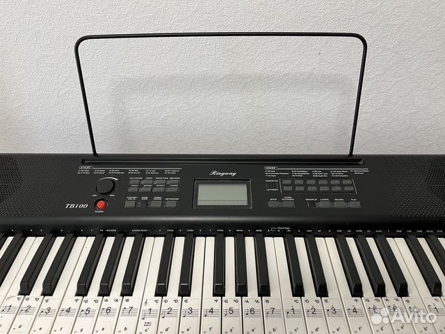 Синтезатор ringway tb100 купить в Санкт-Петербурге | Хобби и отдых | Авито