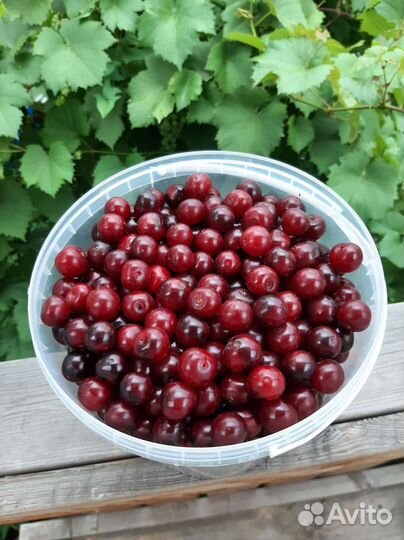 Варенье из вишни без косточек