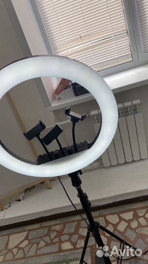 Кольцевая лампа