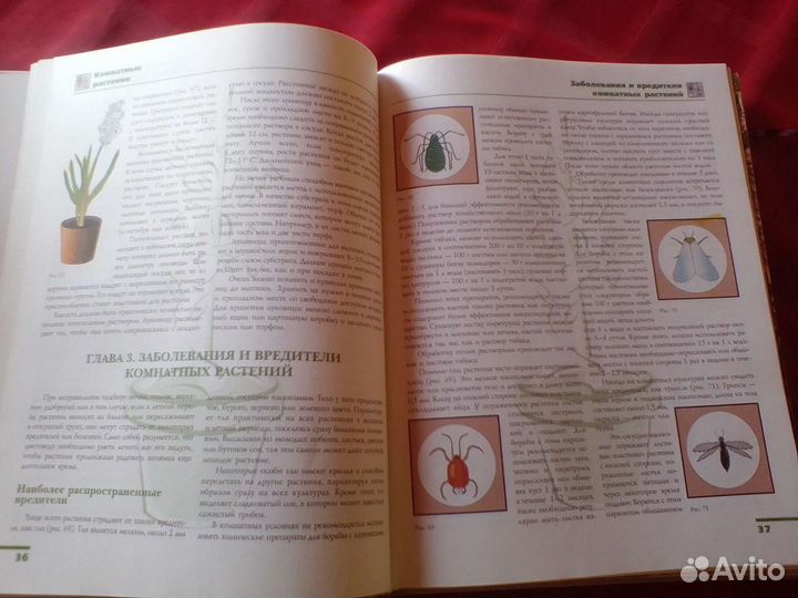 Комнатные растения (книга)