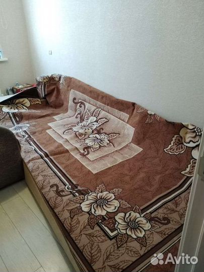 Ковры и паласы