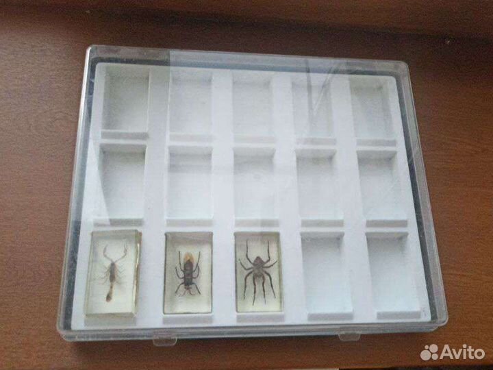 Контейнер для хранения/коллекционирования