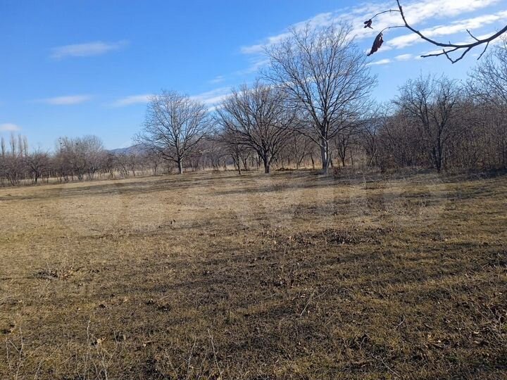 Участок 1500 м² (Грузия)