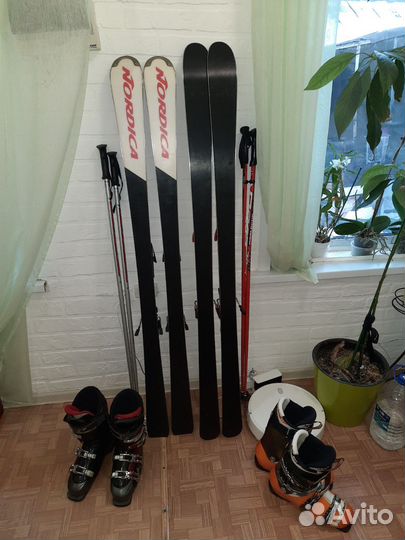 Ботинки горнолыжные