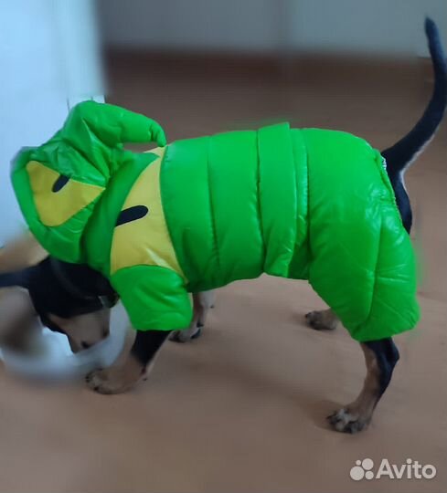 Комбинезон для собак мелких пород