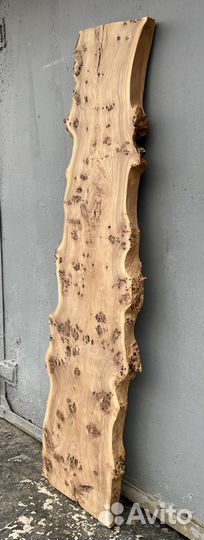 Каповый слэб карагача