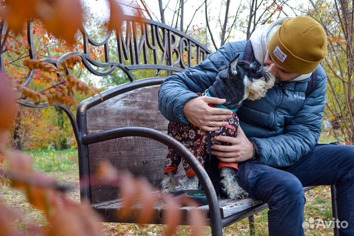 Передержка собак / Зооняня / Выезд / Выгул