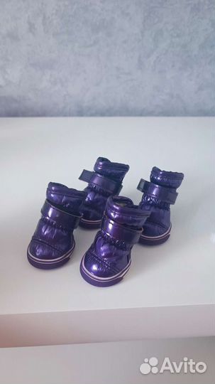 Обувь для собак мелких пород