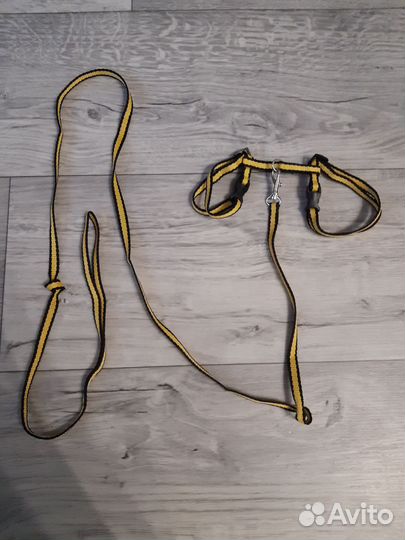 Поводок (шлейка) для котенка